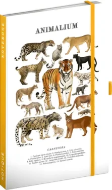NOTIQUE Notes Animalium – Kočkovité šelmy / Linkovaný zápisník / A5 / 172 stran