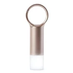 Lexon Nomaday Flash LL137D zlatá / LED klíčenka / IPX4 / USB-C (LL137D)