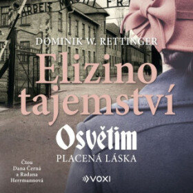 Elizino tajemství - Dominik W. Rettinger - audiokniha