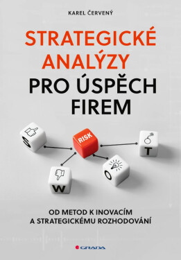 Strategické analýzy pro úspěch firem - Od metod k inovacím a strategickému rozhodování - Karel Červený