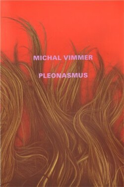 Pleonasmus - Vimmer