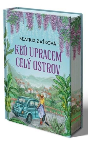 Keď upracem celý ostrov - Beatrix Zaťková