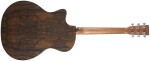 Martin GPC-X2E ZIR