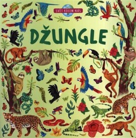 Džungle