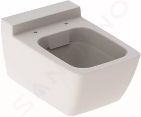 GEBERIT - Xeno 2 Závěsné WC, 540x350 mm, Rimfree, bílá 500.500.01.1