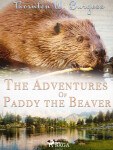 The Adventures of Paddy the Beaver - Thornton W. Burgess
