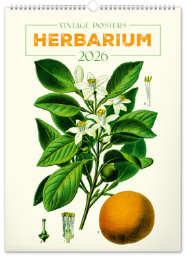 Kalendář 2026 nástěnný: Vintage plakáty - herbář, 33 x 46 cm