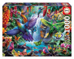 Puzzle Tropičtí kolibříci 1000 dílků