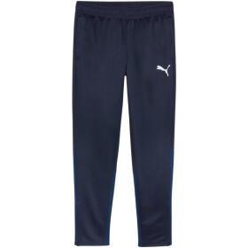 Puma Team Goal Training M kalhoty 658639 06 L