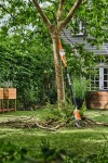 Aku vyvětvovací pila STIHL HTA 30 SET (2x AS 2 + ALS 31)