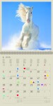 Nástěnný poznámkový kalendář 2026 Helma - Horses
