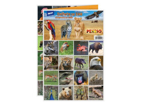 Pexeso MFP 3xA4 Zvířata ze ZOO