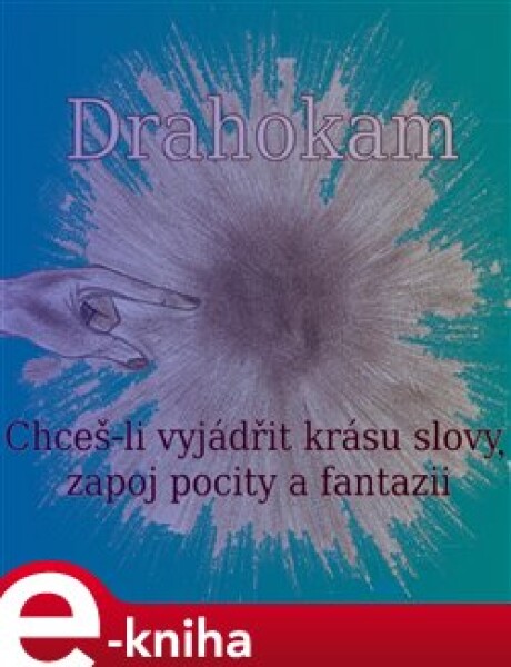 Drahokam - Radek Škutchan e-kniha