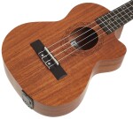 Tanglewood TWT 17 E (rozbalené)