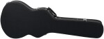 PRS SE Hollowbody Standard Dog Hair Smokeburst