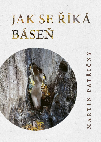 Jak se říká báseň - Martin Patřičný