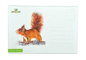 Puzzle do kapsy - Veverka