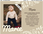 45_Fotorámeček se jménem_Marie - Albi