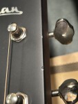 Eastman E6D-TC (použité)