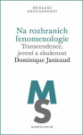 Na rozhraních fenomenologie - Dominique Janicaud
