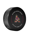 Inglasco / Sherwood Puk Arizona Coyotes NHL Official Game Puck 2022-2023