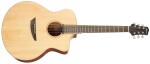 Ibanez PA230E Natural