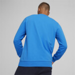 Pánská mikina Puma Team Goal Casuals Crew Neck 658592 02