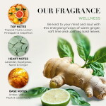Baylis & Harding Dárková sada kosmetiky v boxu Wellness, zelená barva, kov, plast