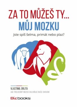 Za to můžeš ty... můj mozku - Vlastimil Orlita - e-kniha