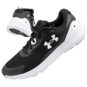 Dámské oblečení Under Armour 3024989-001