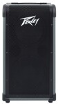 Peavey Max 208