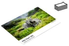 Fomei PRO Pearl 265 / Fotopapír / Polomatný / A4 / 265 g/m2 / 5 listů (EY4046)