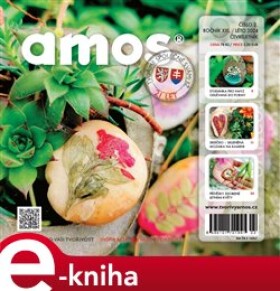 Amos 02/2024 e-kniha