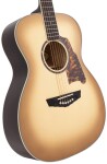 D'Angelico Excel Tammany Sepia Burst