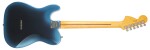 Fender American Professional II Telecaster DLX RW DK NIGHT