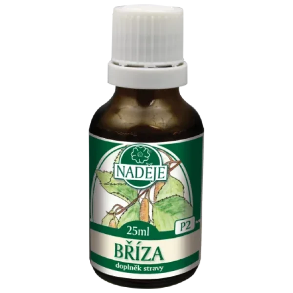 Bříza bělokorá (P2)