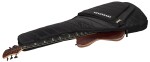 AV Basses AVS 5 Cocobolo