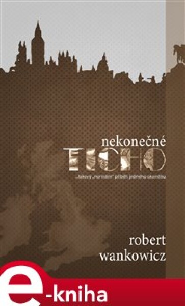 Nekonečné ticho - Robert Wankowicz e-kniha