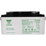 CSB Battery EVX12170 olověný akumulátor 12 V 17 Ah olověný se skelným rounem (š x v x h) 181 x 167 x 76 mm šroubované M5