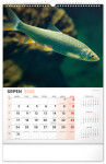 Nástěnný kalendář 2026 NOTIQUE - Rybářský, 33 x 46 cm