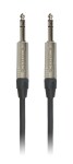 Bespeco NCS300