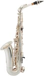 Bacio Instruments BAS-100SG