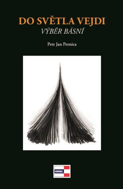 Do světla vejdi - Petr Jan Pernica