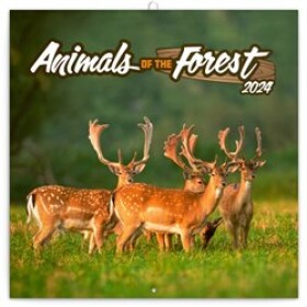 Kalendář 2024 poznámkový: Zvířátka z lesa, 30 × 30 cm