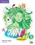 Own It! 3 Project Book - Lewis Samantha, Vincent Daniel