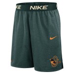 Nike Pánské kraťasy Baltimore Orioles MLB 2026 City Connect Authentic Dri-FIT Shorts Velikost: L