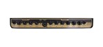Peavey Ecoustic E208
