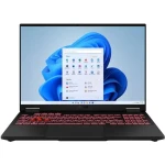 Asus TUF Gaming A16 šedá / 16" WQXGA / AMD Ryzen 7 260 3.8GHz / 16GB / 512GB SSD / RTX 5060 Laptop / W11H (FA608UM-QT044W)