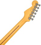 Fender LE American Professional II Stratocaster V MN 3TS