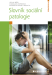 Slovník sociální patologie - Blahoslav Kraus, Václav Bělík, Stanislava Hoferková